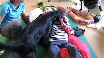 Dog assisted therapy for young people with severe multiple disabilities