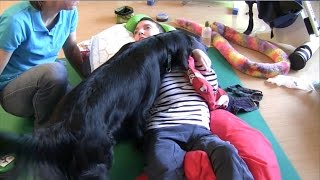 Dog assisted therapy for young people with severe multiple disabilities