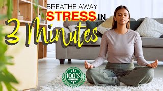 Breathe Away Stress in 3 Minutes | Healing Pulse