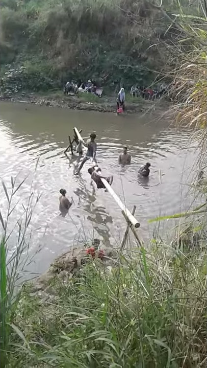 Viral garut