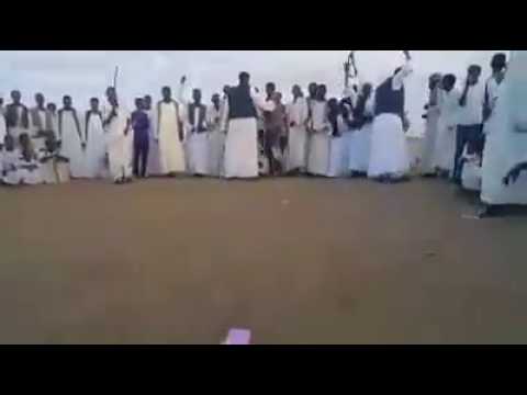 رقصه البجا شرق السودان 