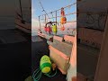 #lobsterboat #oceanlife #fish #sunrise