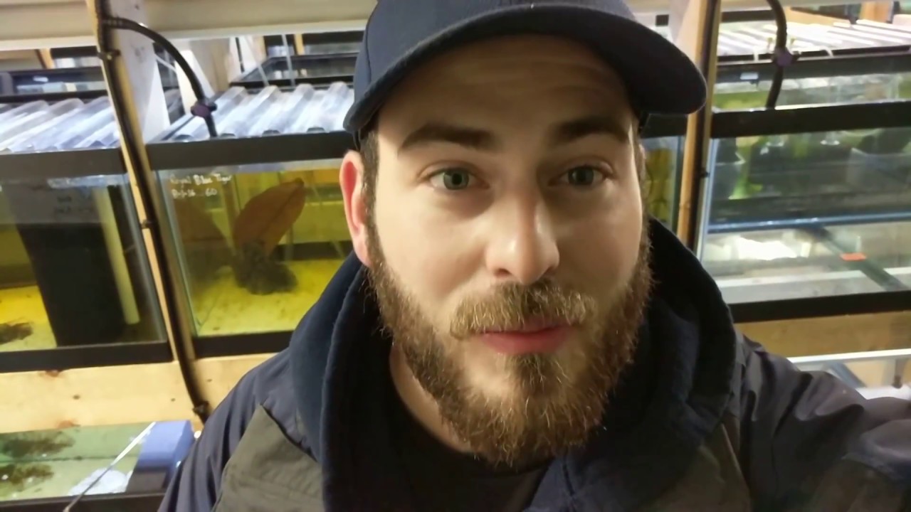 Trying to Control Humidity in the Fish Room YouTube