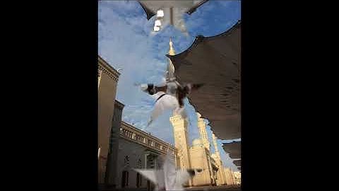 سورة النساء تلاوة عطرة للمقرئ محمد الايراوي