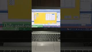 data grid view