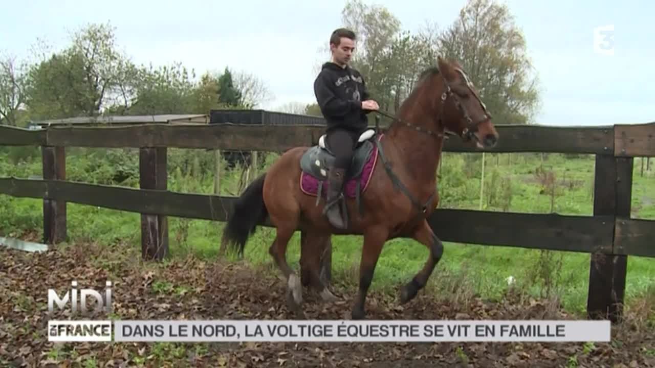 ANIMAUX : Dans le Nord, la voltige équestre se vit en famille