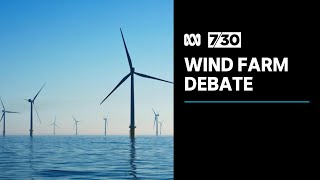 Debate over where Australia's offshore wind turbines should be placed | 7.30