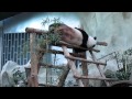 Смешной панда в зоопарке Чианг Май