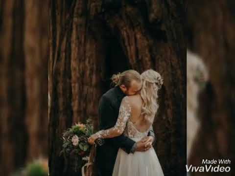 გიორგი ფუტკარაძე - სახურავებზე