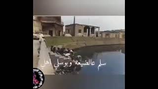 يا طير   الطاير من فوق السهله