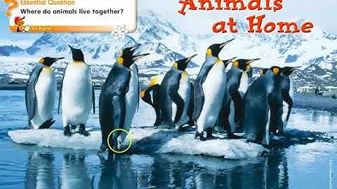 Reading Wonders Unit 2 Week 3 Weekly Opener