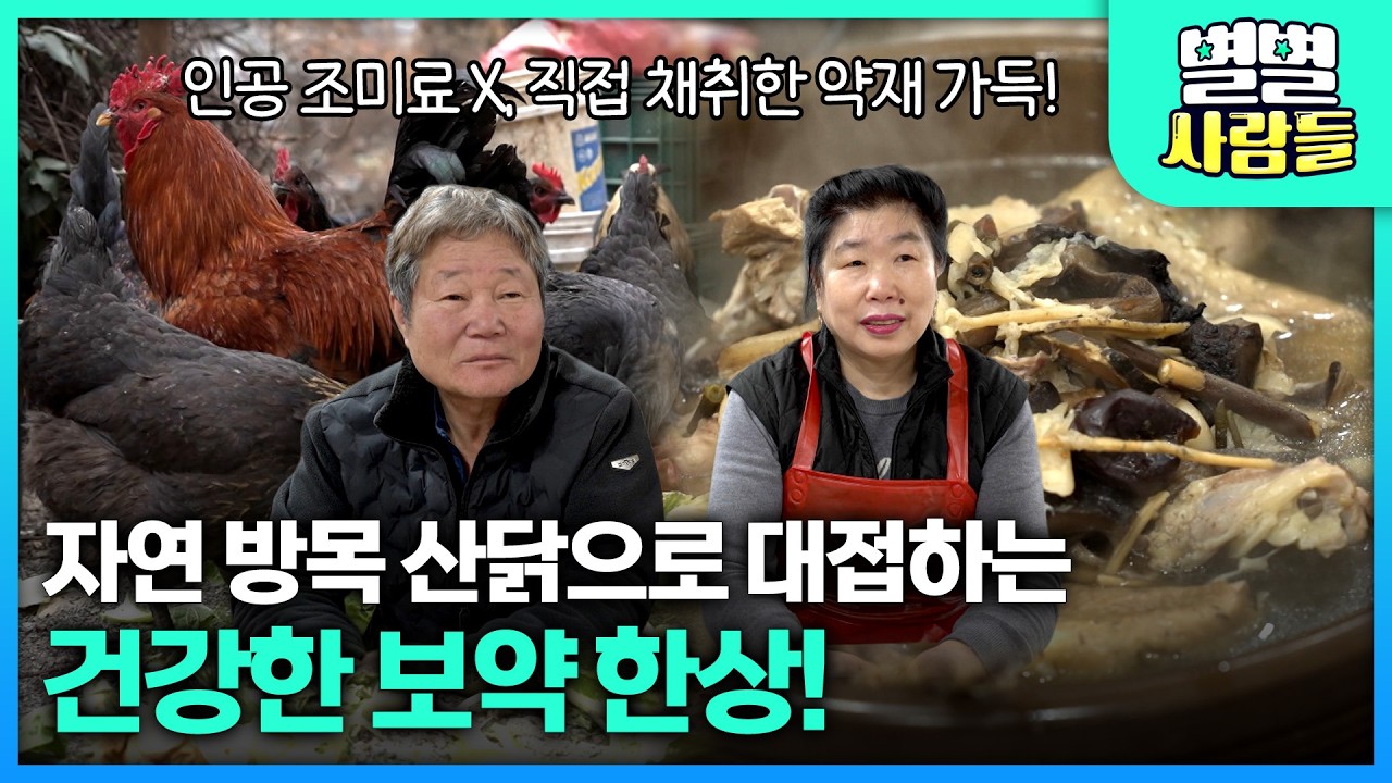 자연 방목 산닭으로 대접하는 건강한 보약 한상! [ 별별사람들 ] 20260311