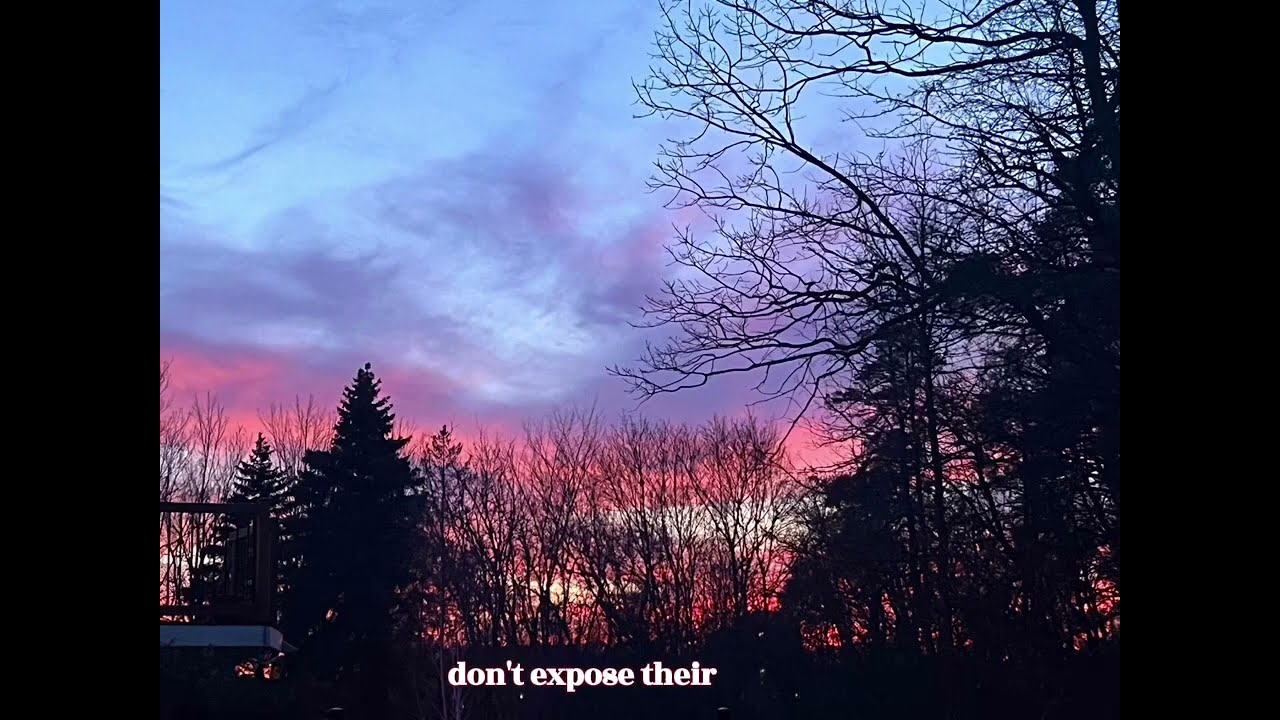 Don't cause muslims pain😶|status mufti menk |with subtitles 