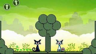 Cat Physics Level 80