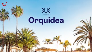 TUI BLUE Orquídea, Spain