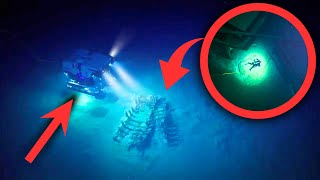 Exploring the Hidden Depths Drone Reveals a Time Encased Shipwreck in the Gulf of Mexico
