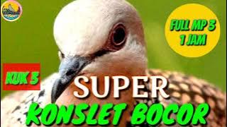 Suara MP3 derkuku kuk 3 super Konslet bocor bikin semua ramai bersautan full 1 jam nonstop