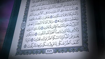 16-سورة النحل/القارئ الشيخ صلاح بو خاطر "Al-Qari Sheikh Salah Bu Khater