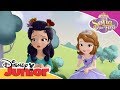 Sofia the first  sofias painting adventure