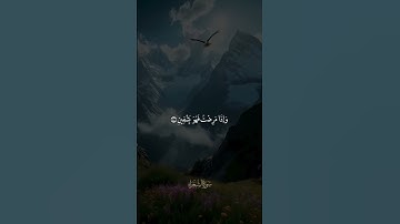 من سورة الشعراء | وديع اليمني #نعش_العلم #اكسبلور #المصحف #قرآن #قران_كريم #وديع_اليمني