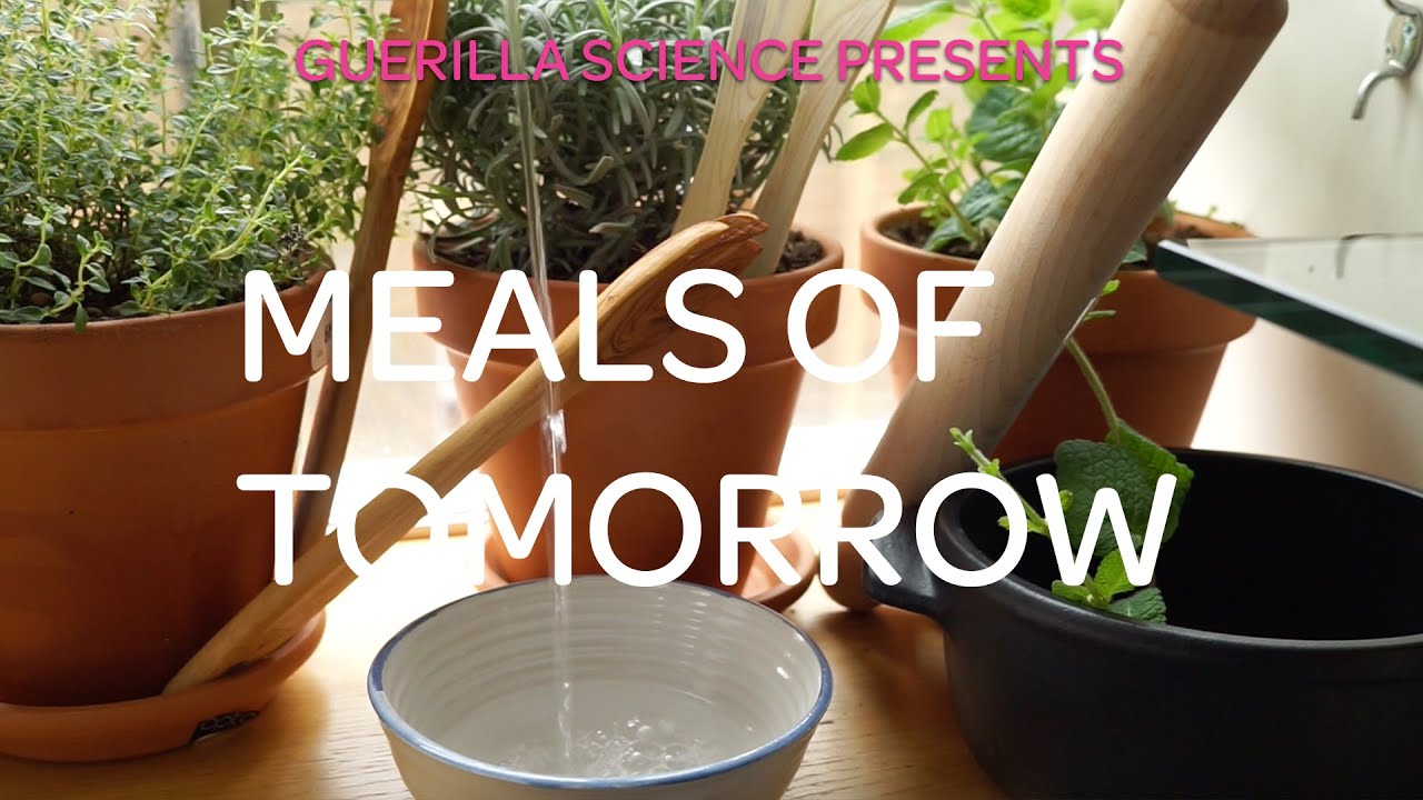 Meals of Tomorrow X 64Million Artists | Science of Food | GUERILLA SCIENCE