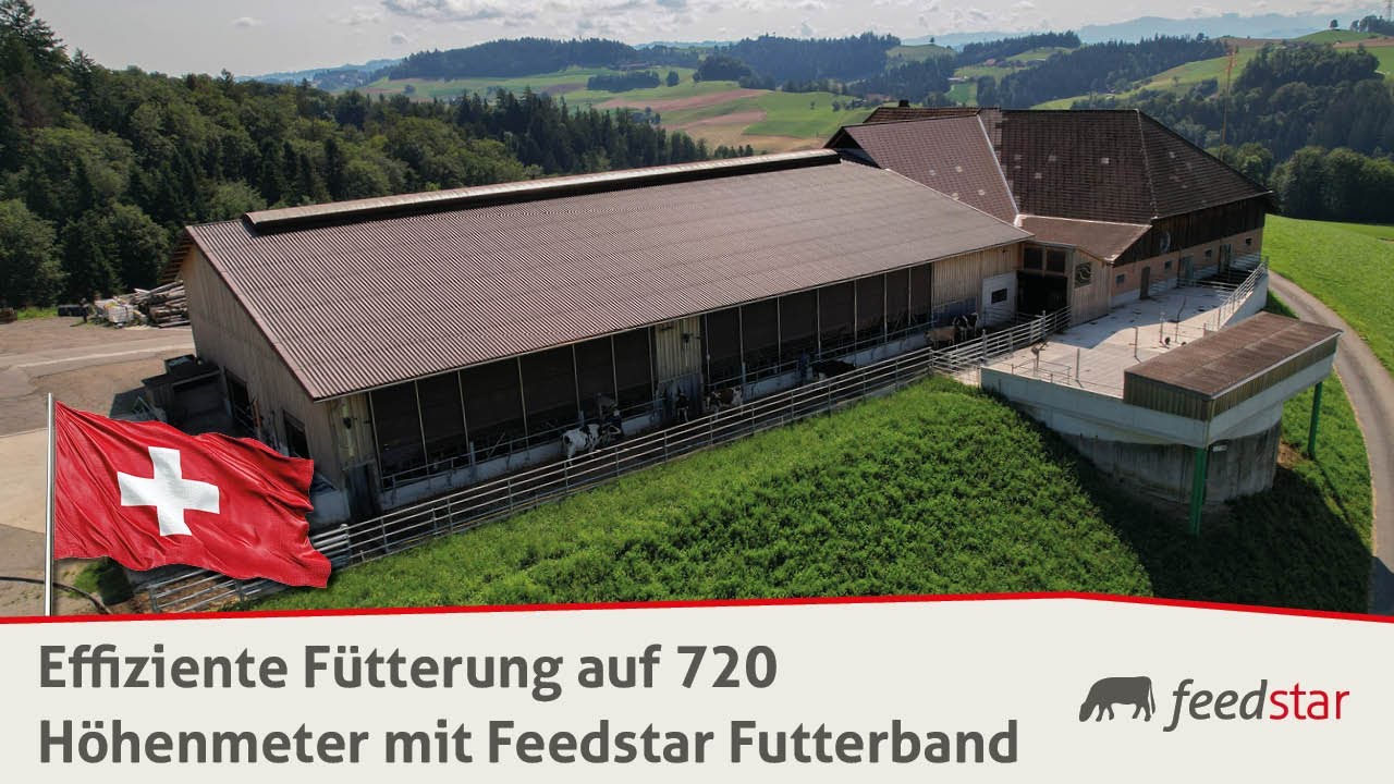 Stallneubau mit Futterband (platzsparend) anstatt breiter Futtertisch | Betrieb Held in Rügesau