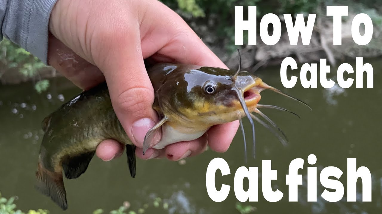 The EASIEST Way to Catch TONS of Catfish! (How to Catch Catfish) 