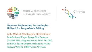 Genome Engineering Technologies Utilized for Large-Scale Editing | Leslie Mitchell