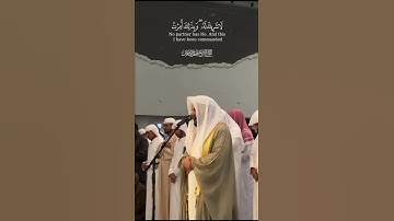 القارئ هيثم الدخين خواتيم سورة الأنعام💗🥹