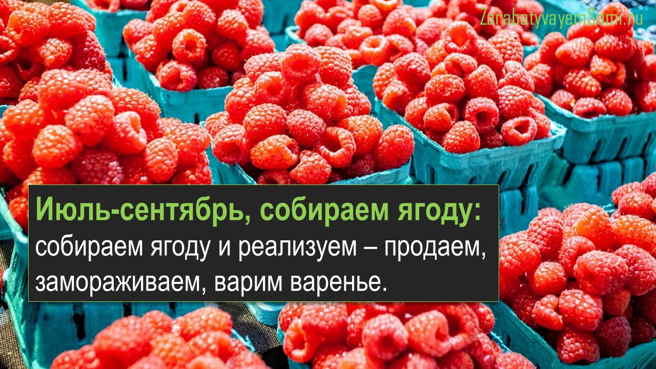 Малина лада видео