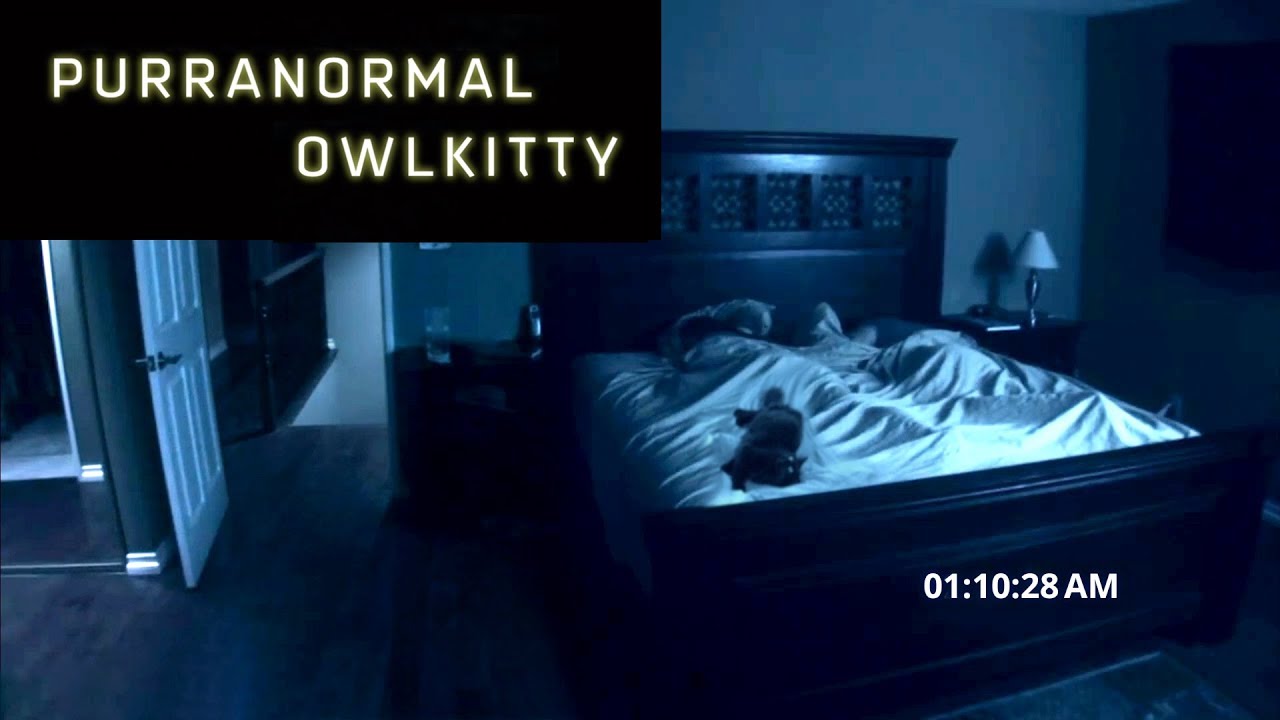 Download Purranormal Activity (with my cat OwlKitty)