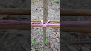 Best Rope Knot for Bamboo Fence ✅🙏 #shorts #shortsfeed #viral