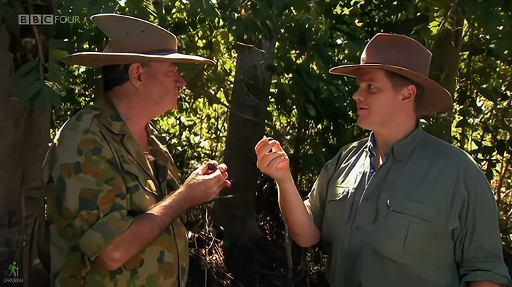 Ray Mears Walkabout - The bush tucker man | 4K ups...