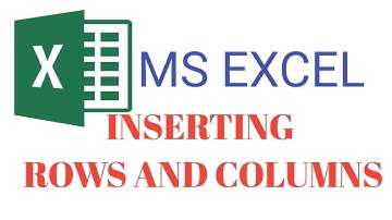 Class 6 Ch 4. Ms Excel 2016