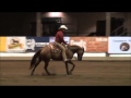 Whiz be wimpy pink ribbon nonpro futurity champion