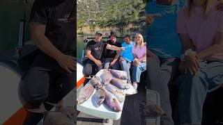 Όποτε Θέλουμε πιάνουμε ΣΥΝΑΓΡΊΔΕΣ ❤️ Έτσι Απλά #zavrasfishing #ψαρεμα #fishingtrip