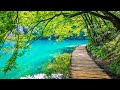 Beautiful Relaxing Music - Stop Overthinking, Mind Calm, Serene Seascapes for Ultimate Relaxation