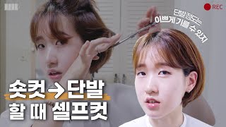 숏컷에서 단발로 기를 때 셀프컷 방법 | Bob hair Self cut