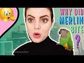 Day 3 With a Rescue Parrot | Bringing Home A New Bird