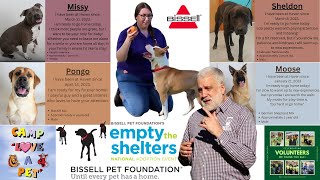 Marks Monday Mashup Empty the Shelters