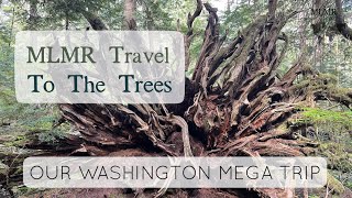 MLMR Travel to the Trees | Our Washington Mega Trip | MLMR Travel Vlog