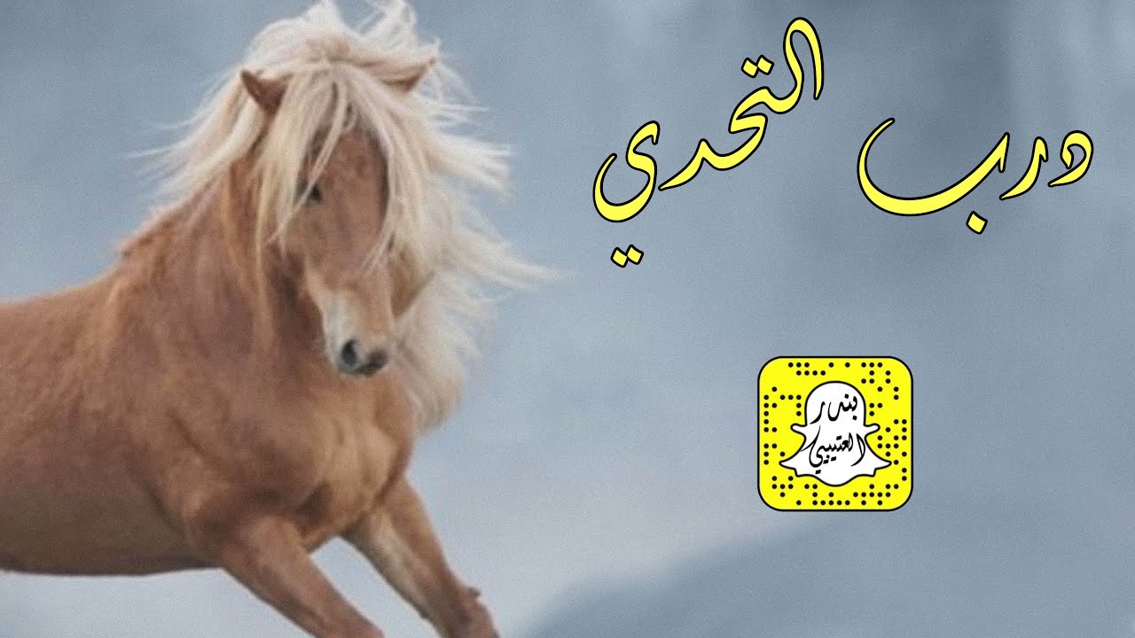 درب التحدي اداء سعد محسن 2024 حصرياً