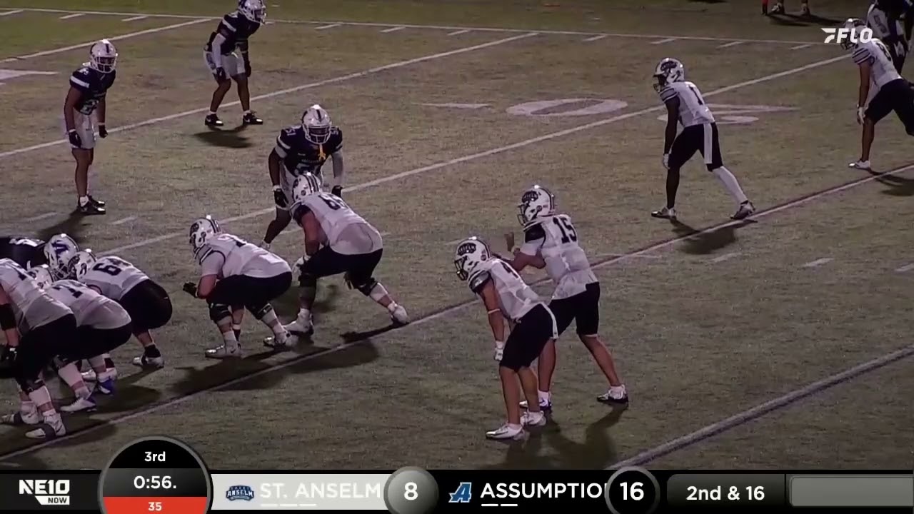 Saint Anselm vs Assumption Football Highlights | NE10 Football