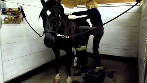 THR She will ride again!