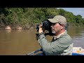 Documentary Insights on Brazil's Nature