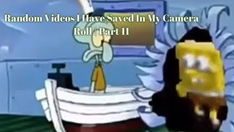 Random Videos I Have Saved In My Camera Roll | Part 11