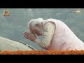 PM Narendra Modi pays tribute to Sardar Vallabhbhai Patel on his birth anniversary