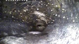 S Ash ST Tacoma WA 98405