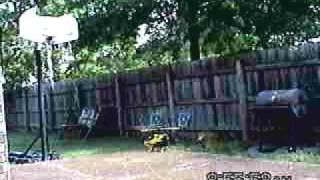 TREX 500 FIRST HOVER