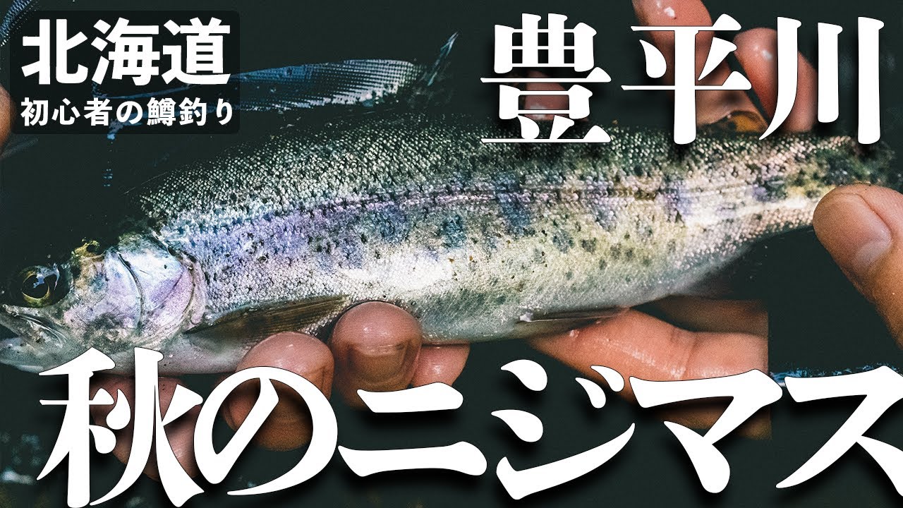 北海道渓流釣り ニジマスを求めて10月の豊平川へ Youtube 北海道渓流釣り ニジマスを求めて10月の豊平川へ Youtube